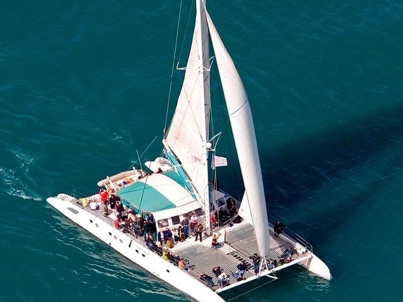 BBQ Catamaran Cruise