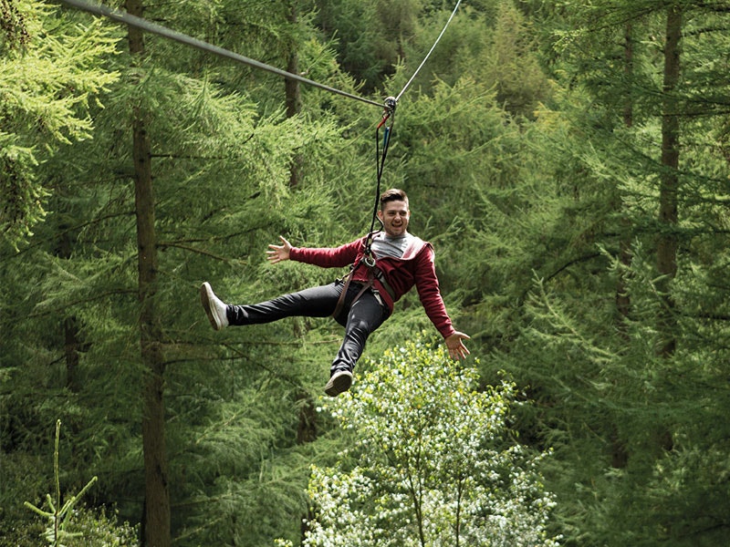 Go Ape High Ropes & Swings Experience