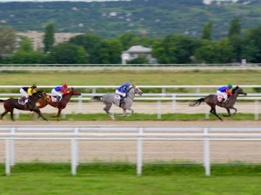 A Day at the Races - Grandstand and Paddock Tickets in York