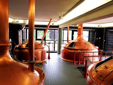 Heineken Brewery Tour Experience in Amsterdam