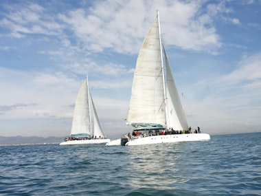 Catamaran - 2.5 Hour Party Cruise - Saturdays in Benidorm