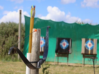 Go Wild in Liverpool