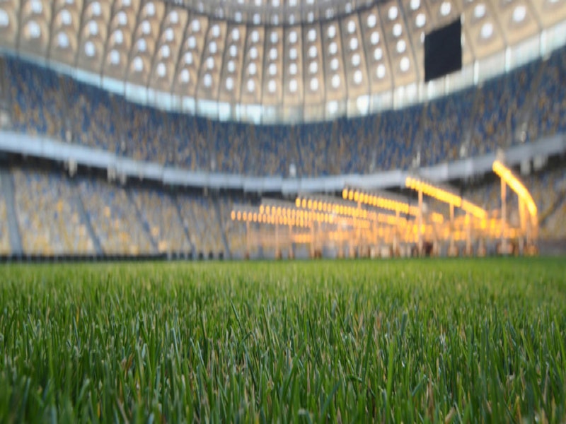 Stadium Tour