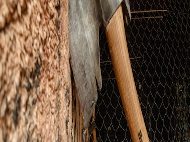 Axe Throwing in Cologne