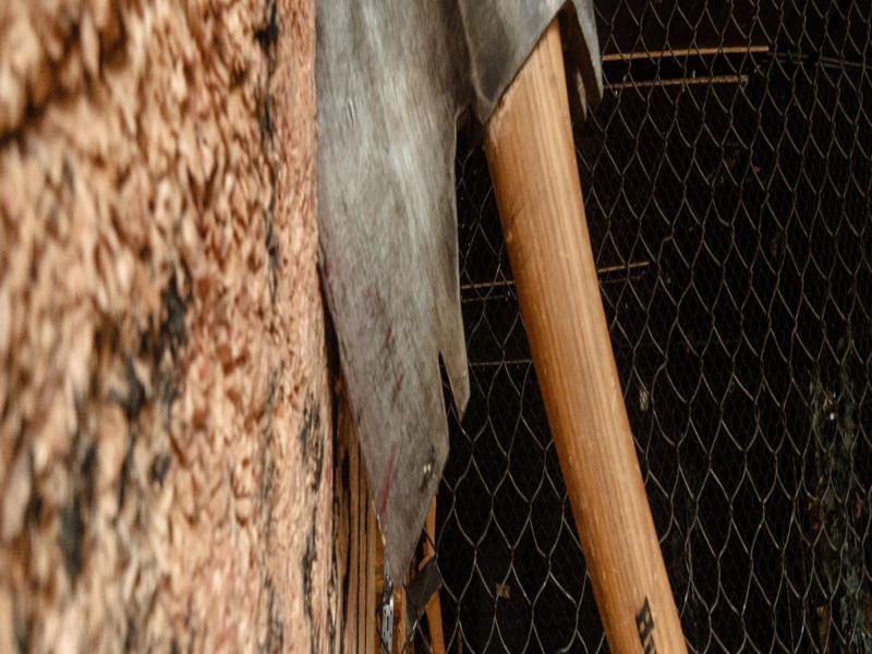 Axe Throwing