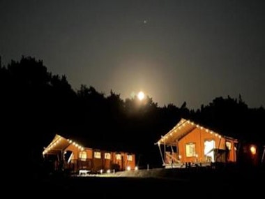 1 Night Stay and Play Glamping Package in Bournemouth