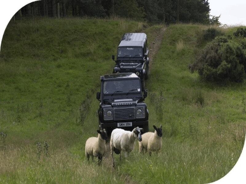 4x4 Off Roading & Axe Throwing