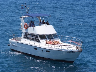 Neptune Private Charter in Tenerife