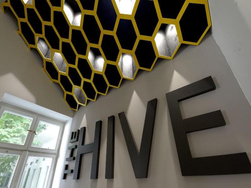The Hive Party Hostel