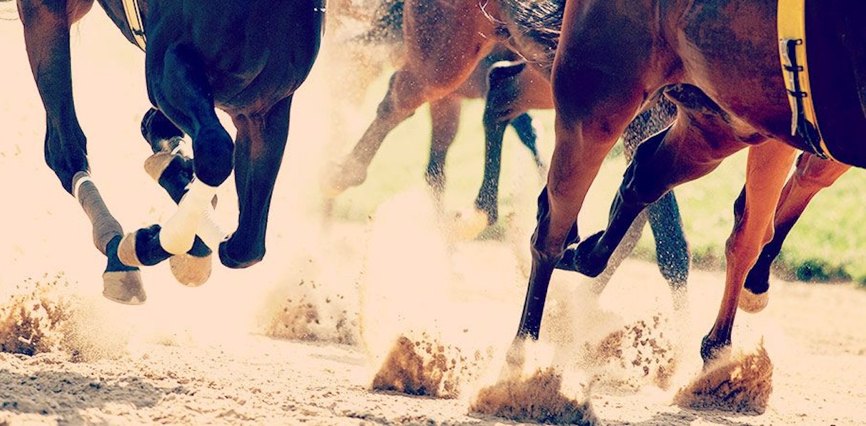 Bournemouth Night at the Dogs Stag Weekend Package