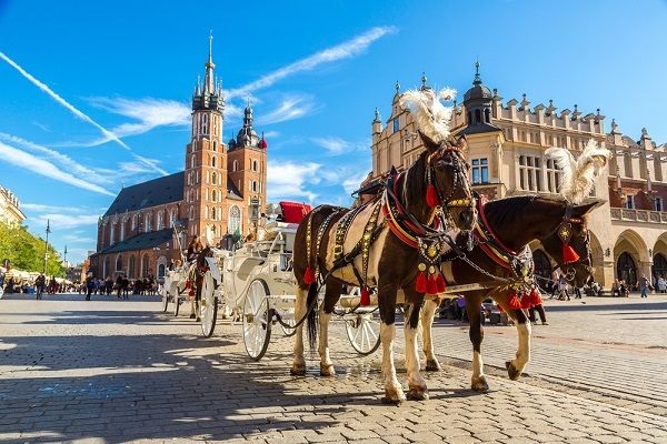 horse and carriage krakow