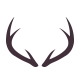 Stag Antlers